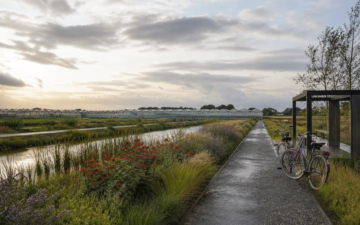 Nederlandse poldertuin met fietspad, watergang en kassen aan de horizon